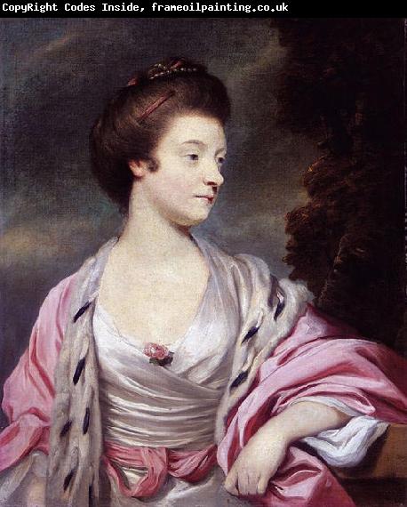 Sir Joshua Reynolds Elizabeth, Lady Amherst